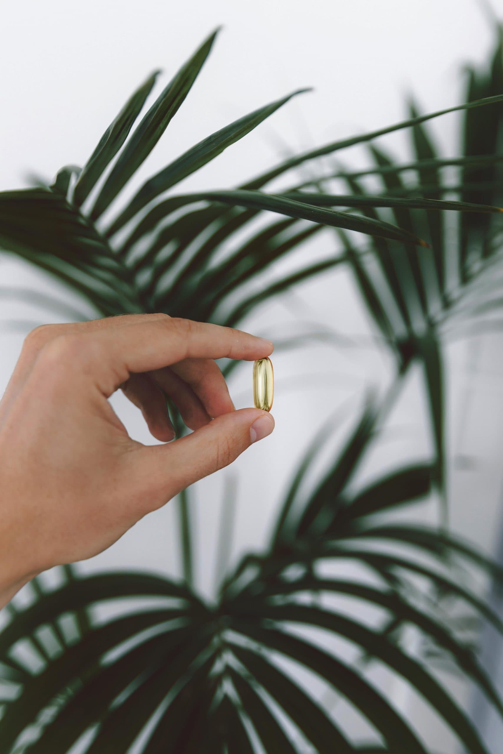 Cerapy Omega-3 Article